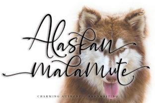 Alaskan Malamute: A Charming Handwriting Font for Branding
