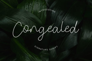 Congele Your Campaigns with the Elegant Congealed Font