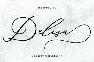 Delisa: A Versatile Font for Modern Business Branding