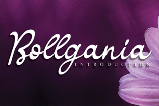 Exploring Bollgania: A Versatile Font for Creative Branding