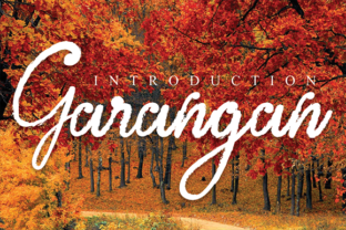 Transform Your Brand with Garangan: A Fun, Quirky Font